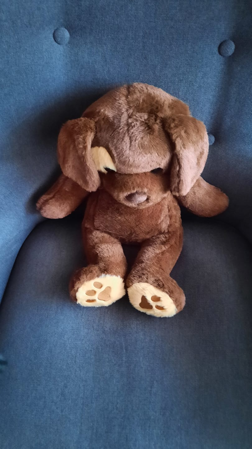 Customer photo review of Verzwaringsknuffel Hond 2,2 kg