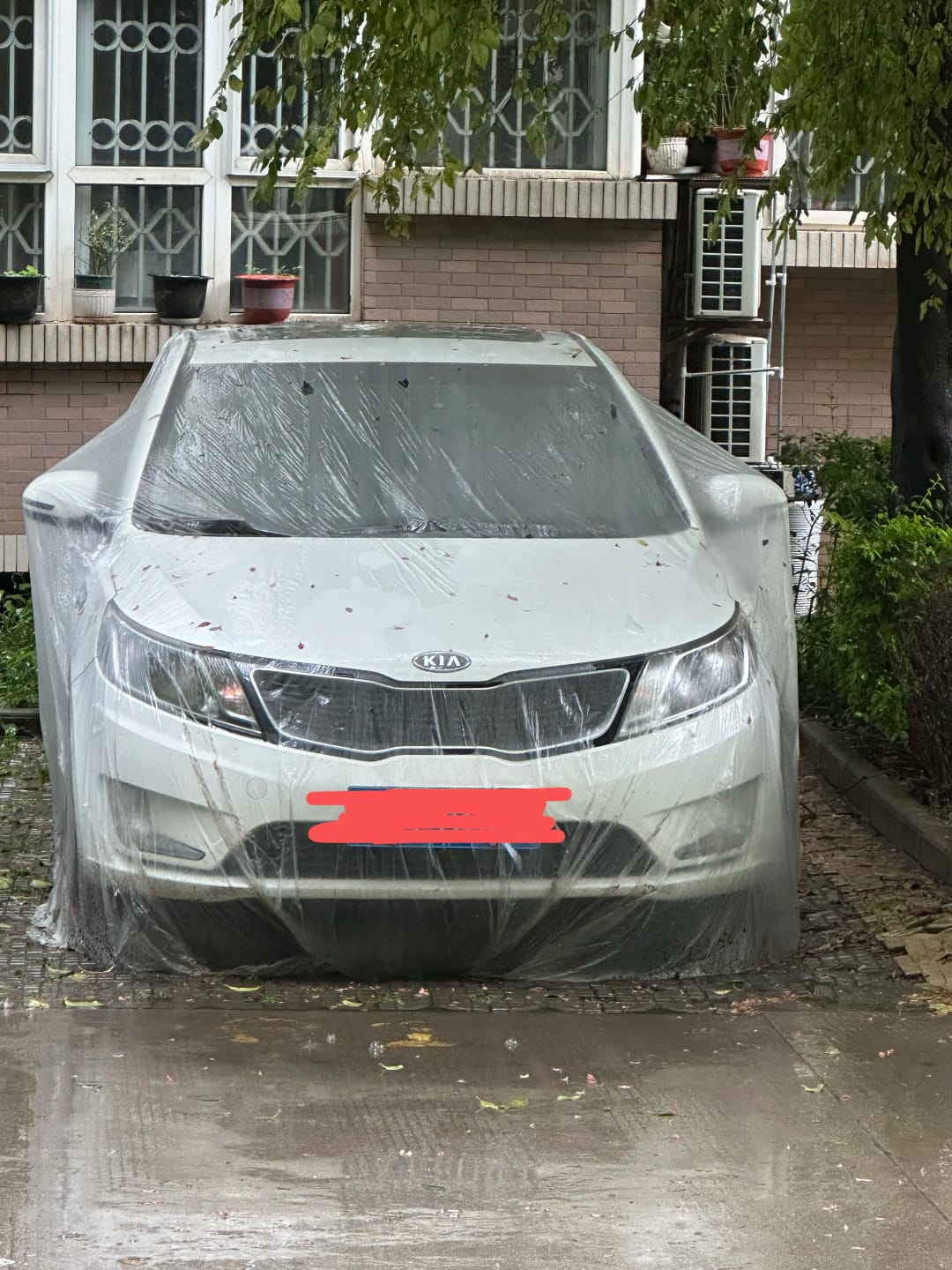 Customer photo review of All-Weather Disposable PE Car Cover – Indoor/Outdoor Dust & Rain Protection