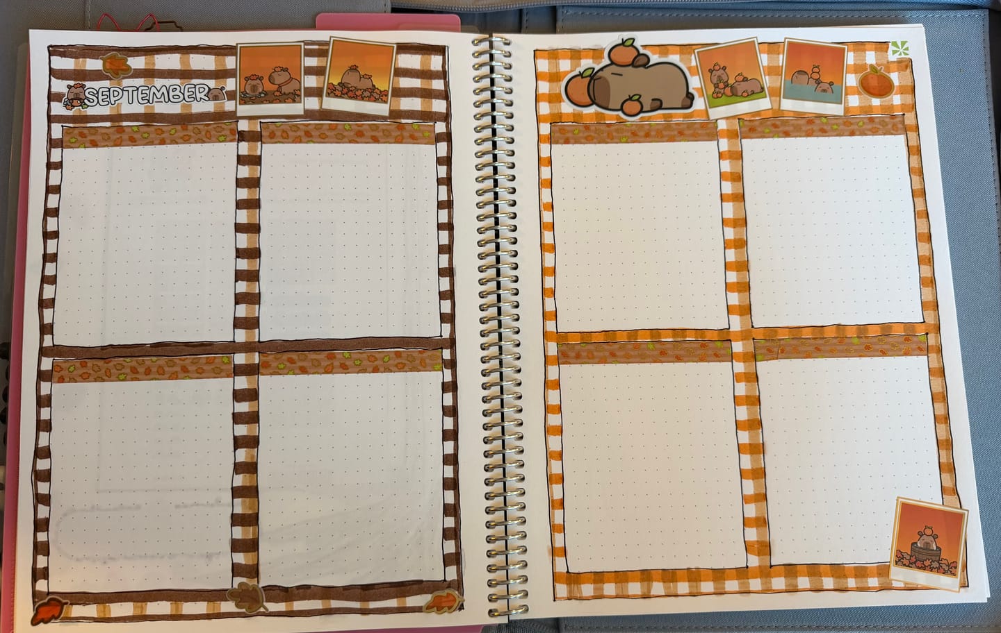 Customer photo review of Autumn Capy Box Set