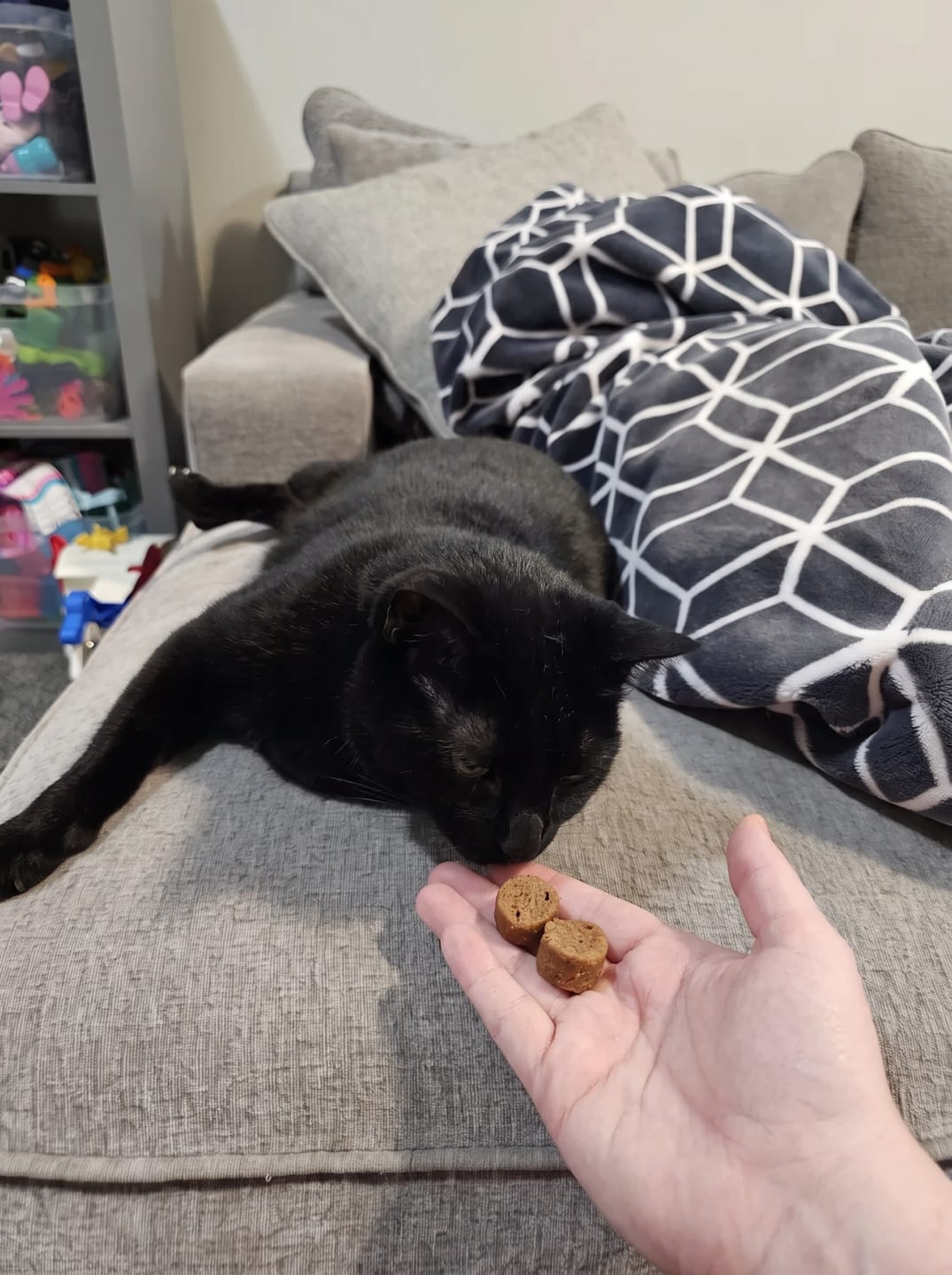 Customer photo review of Renya, la première friandise qui prend soin des reins de votre chat, bien avant les premiers signes