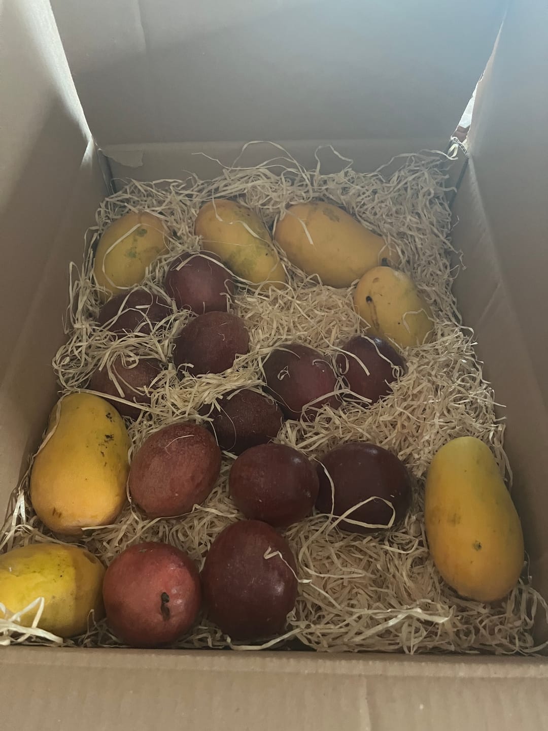 Customer photo review of Mango Honig „Ataulfo“ Bio von Julian