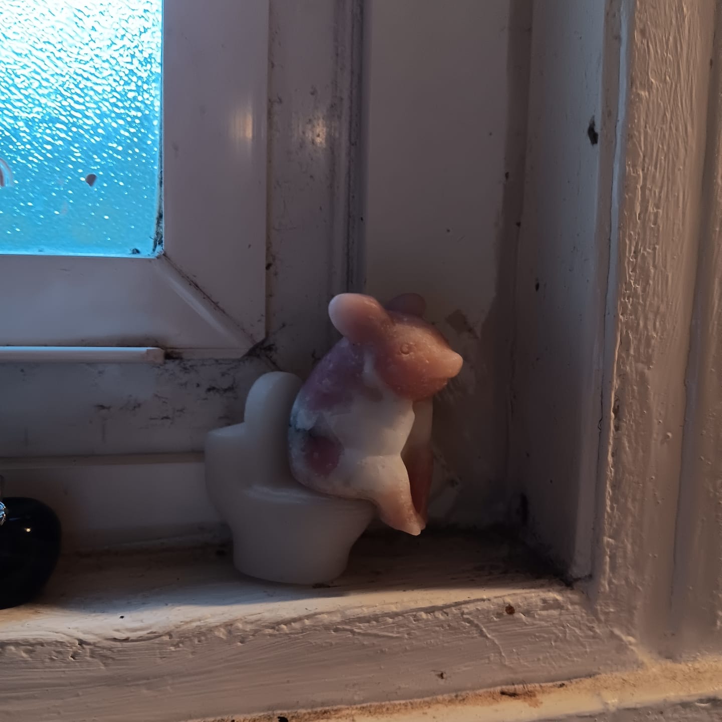 Customer photo review of Natural Pink Opal Toilet Pig