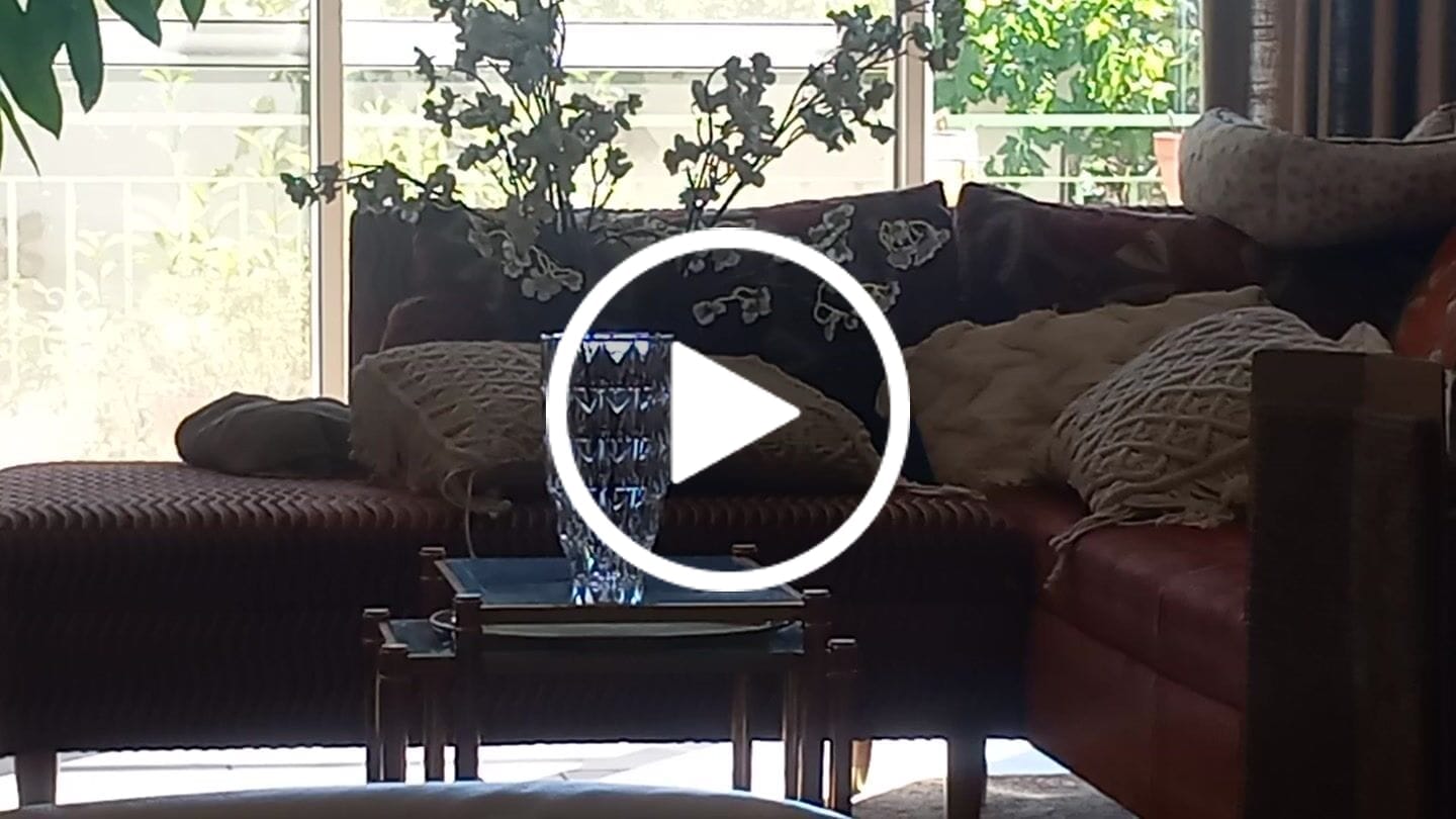 Customer video review of Fleur de Cerisier - Blanc (3 tiges)