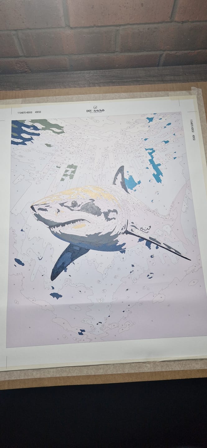 Customer photo review of Ocean Apex | Paint by Number