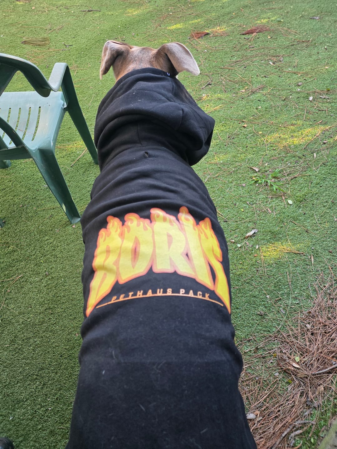 Customer photo review of Personalised Thrasher Font Dog Hoodie 🔥
