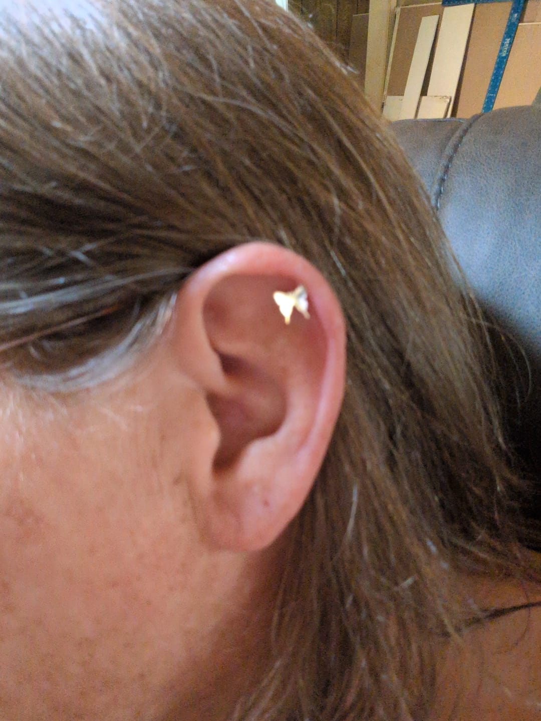 Customer photo review of Butterfly 14k Gold Flat Back 14g, 16g, 18g, 20g