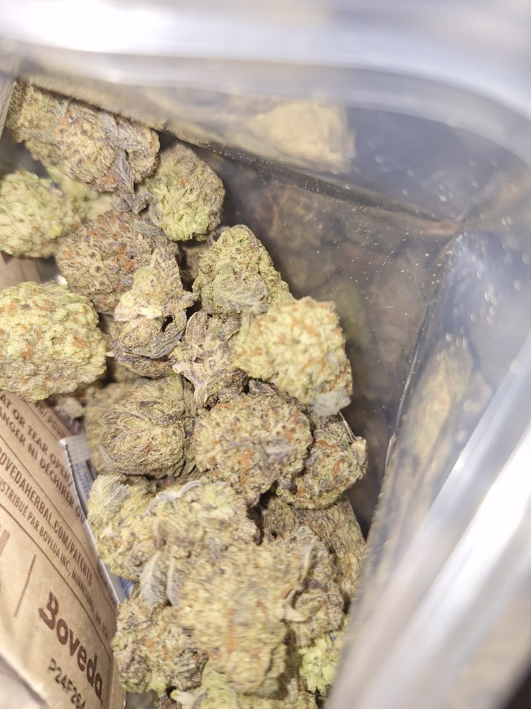 Customer photo review of Lemon Gas Mask - Exotic Smalls