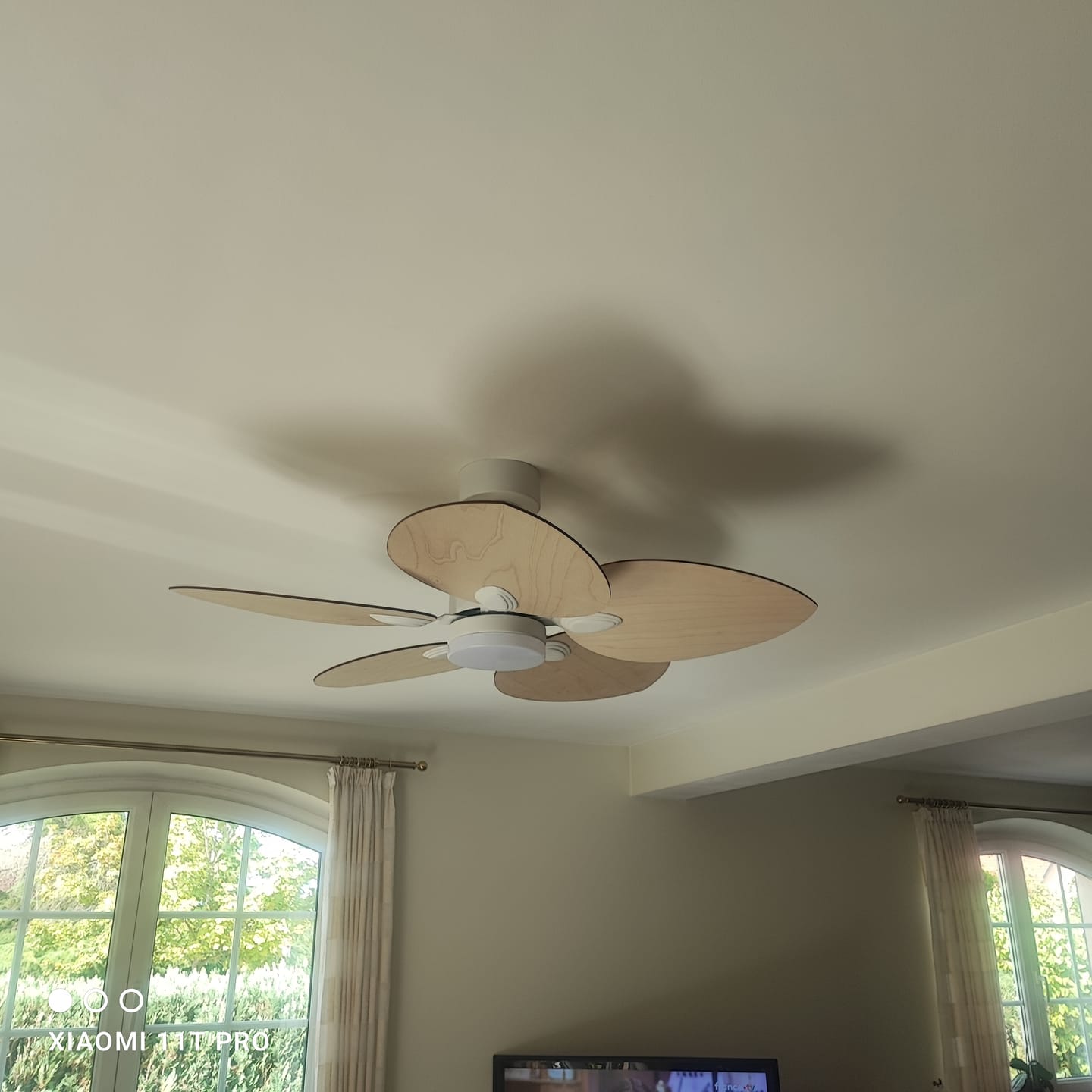 Customer photo review of Dahlia | Ventilateur de plafond