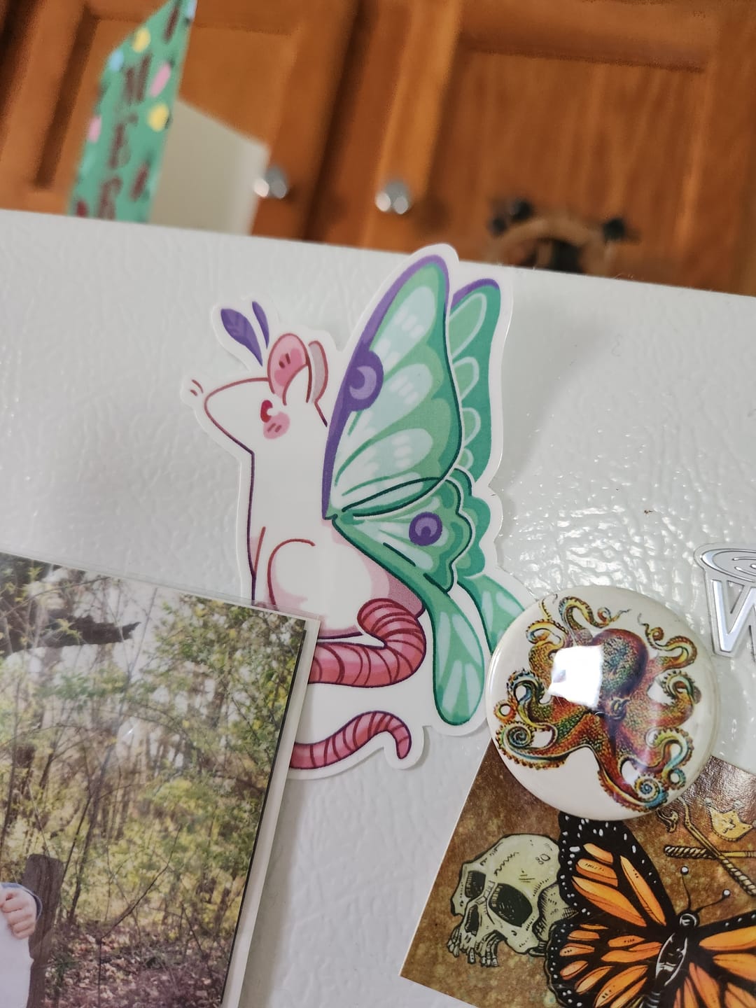 Customer photo review of Mothrat Stickers