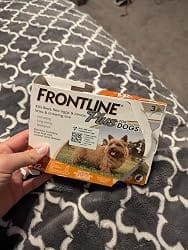 Customer photo review of Frontline Plus for Small Dogs 5-22 lbs – Flea & Tick Treatment