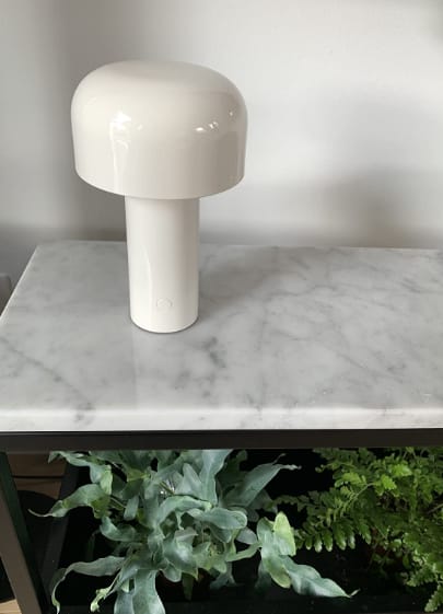 Customer photo review of Sol Cordless Metal Mushroom Table Lamp | Rechargeable Dimmable Bedside Night Light
