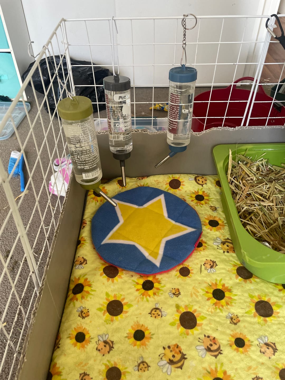 Customer photo review of HAYPIGS!® Circus Pee Pads 2 pack – Reusable Fleece Pee Pads for Guinea Pigs & Small Pets