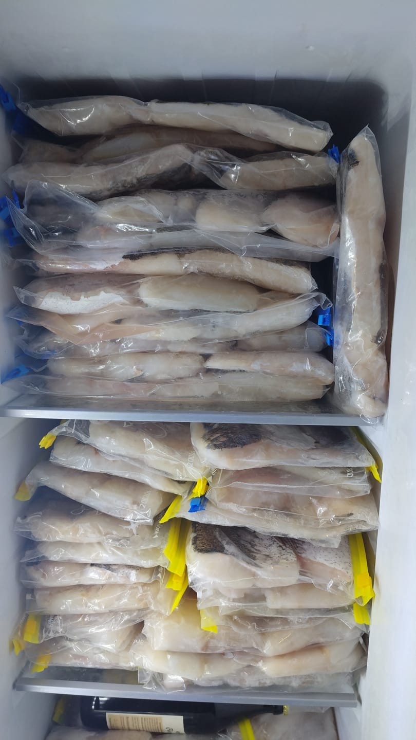 Customer photo review of ICE PRO™ – Long-Lasting Gel Ice Packs for Coolers & Lunch Boxes