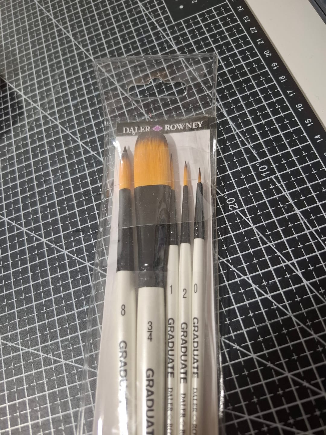 Customer photo review of Daler Rowney Graduate - Set 5 Pinceles Watercolour Landscape