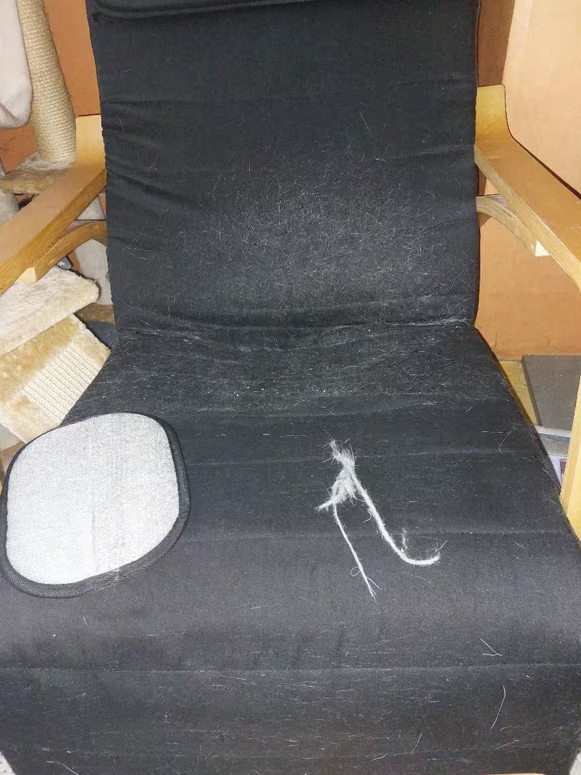 Customer photo review of MancsKesztyű™ - Egyszerű szőreltávolító