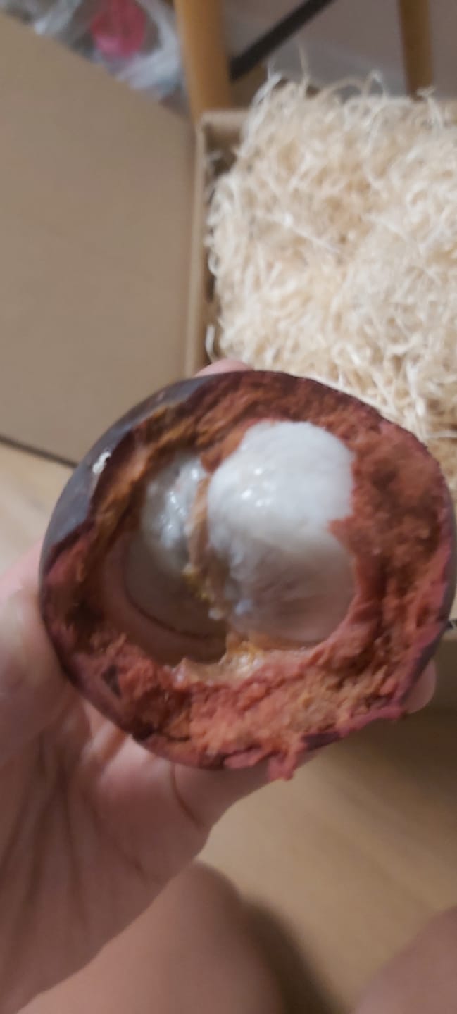 Customer photo review of Mangostan unbehandelt Thailand 1,5kg Box Promo %