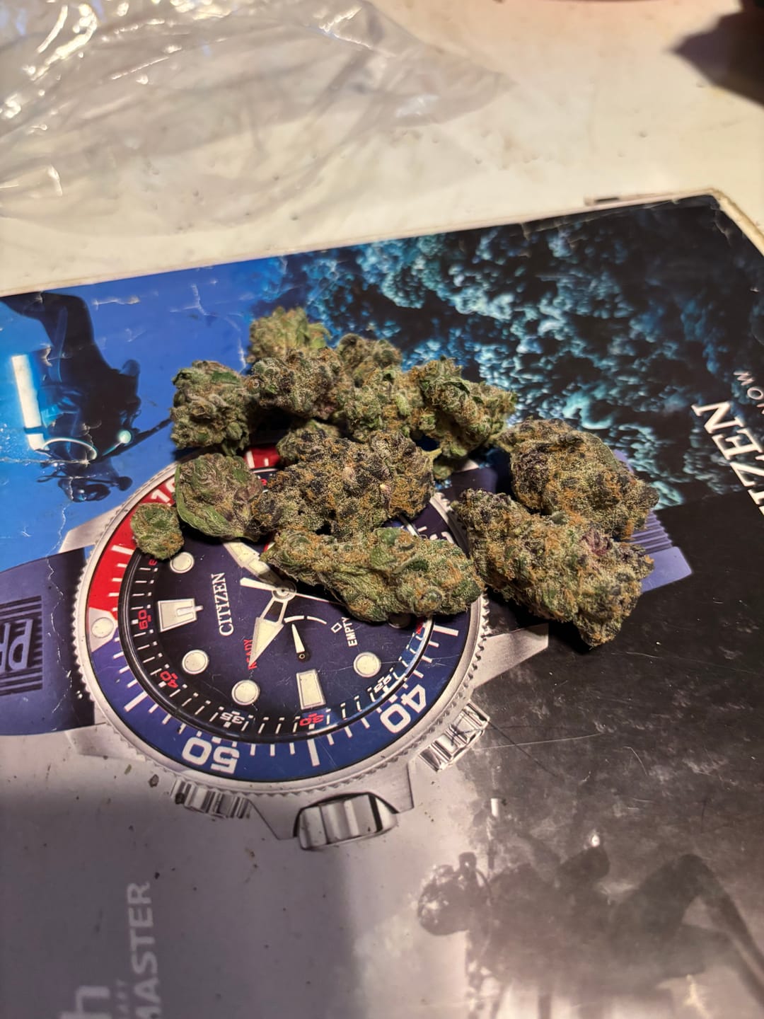Customer photo review of THCA Queen