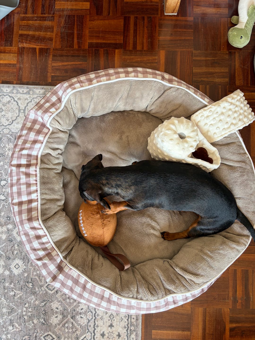 Customer photo review of Plush Ball