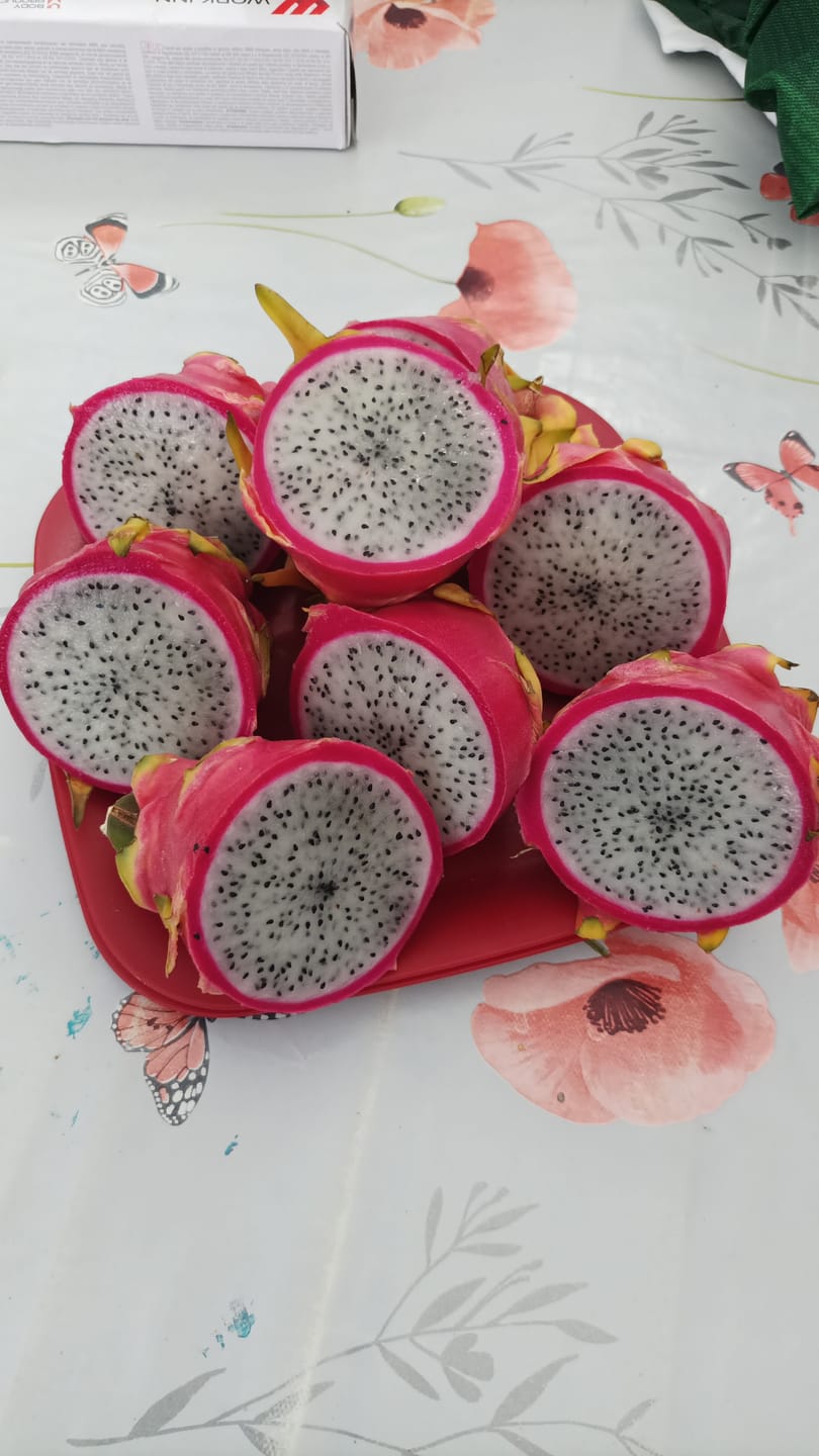 Customer photo review of Drachenfrucht rosa von Julian