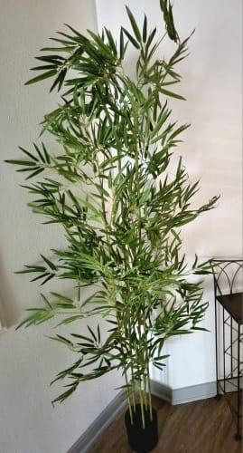 Customer photo review of Artificial Bamboo Tree Tall Fake
