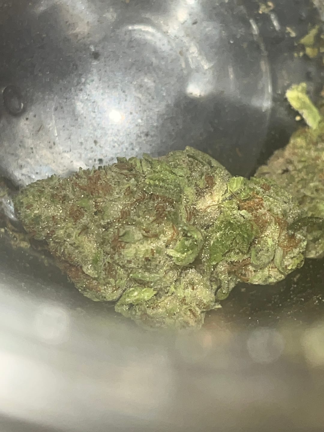 Customer photo review of Hella Jelly - 28 Grams - Sativa