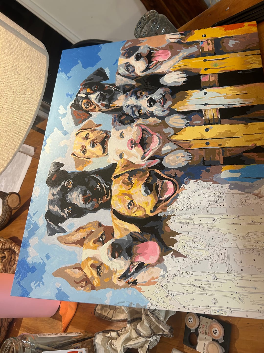 Customer photo review of Dog Days of Summer