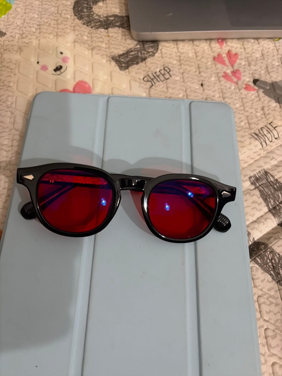 Customer photo review of TRAVEL LEATHER CASE