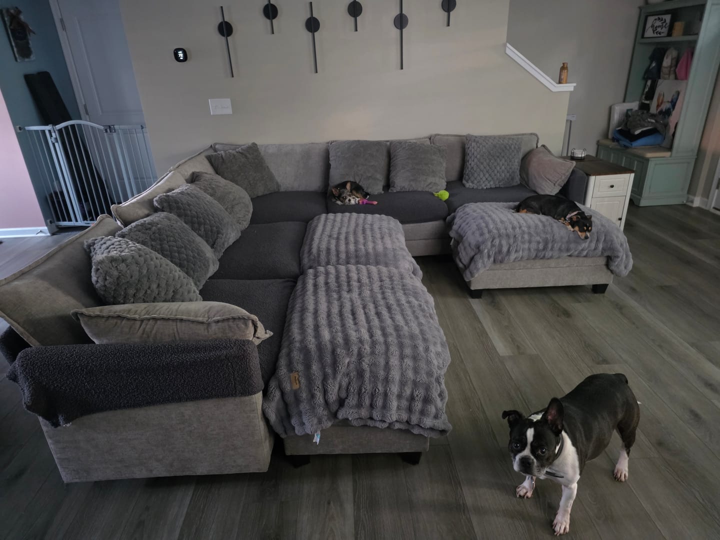 Customer photo review of 149.2 Inch Cloudy Luxury Thickened Cushion Modular Sofa