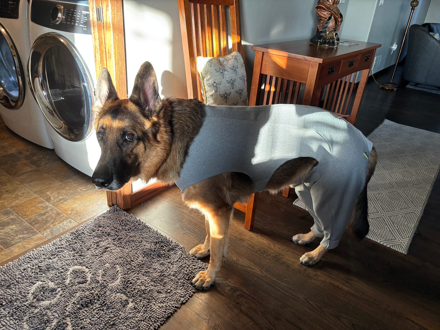 Customer photo review of Lick Sleeve® Rear Bilateral Suit