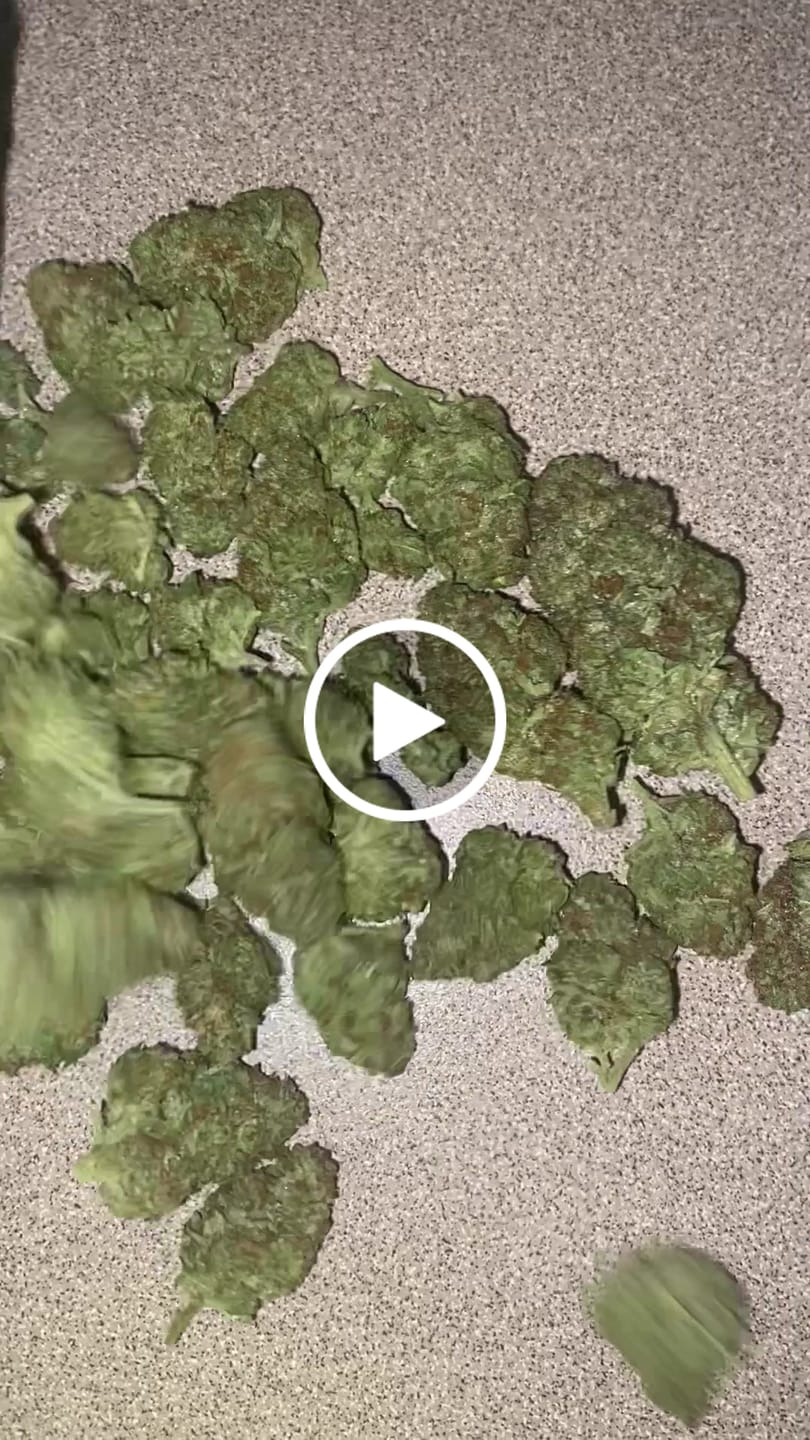Customer video review of Gary Poppins THCA Flower
