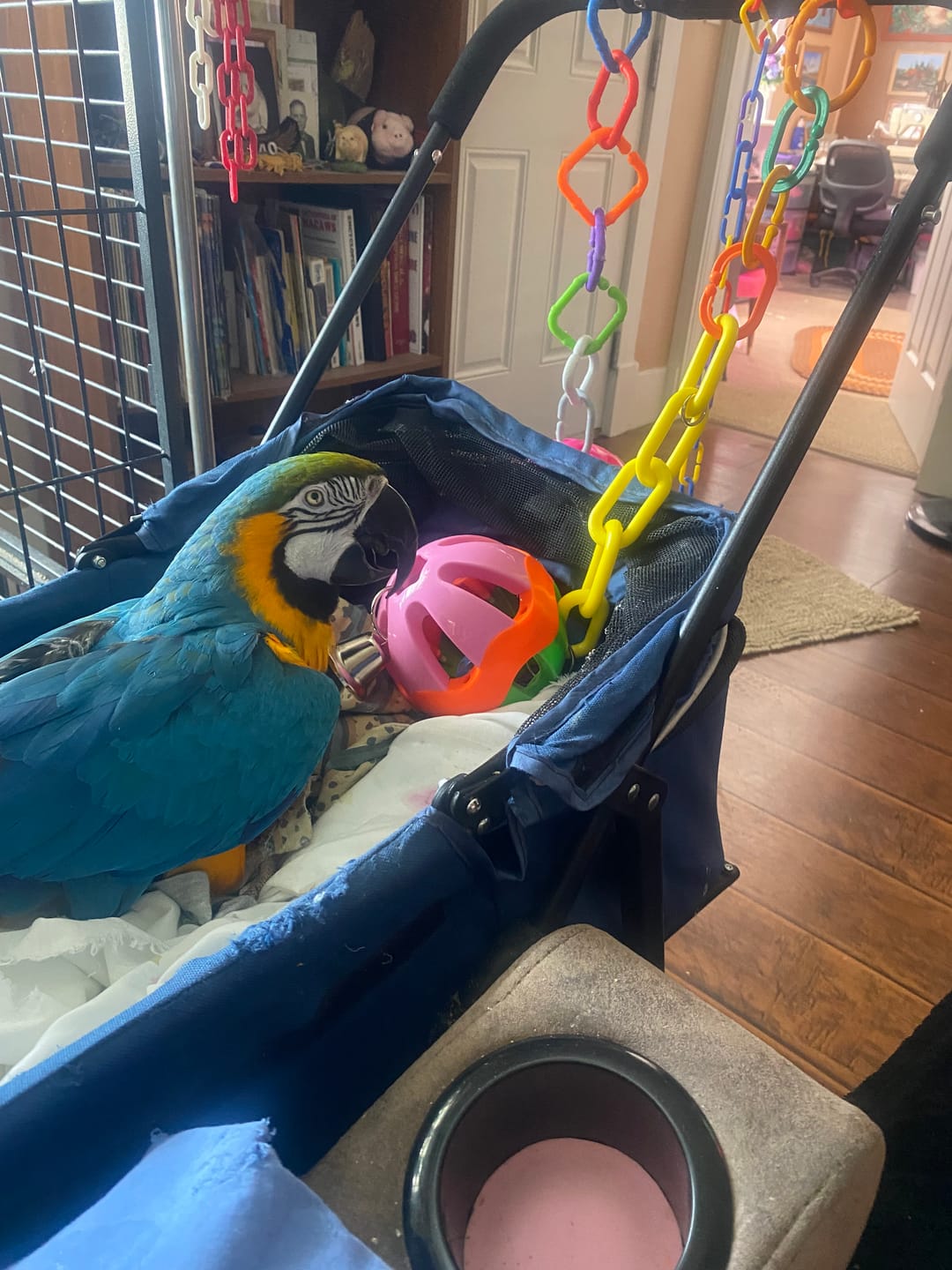 Customer photo review of 3694 Huge Ball and Chain