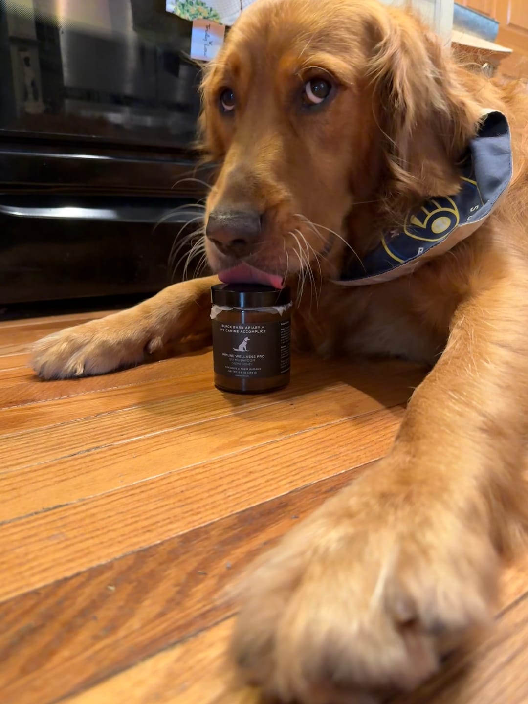 Customer photo review of IMMUNE WELLNESS PRO™ SIX MUSHROOM CRÈME HONEY