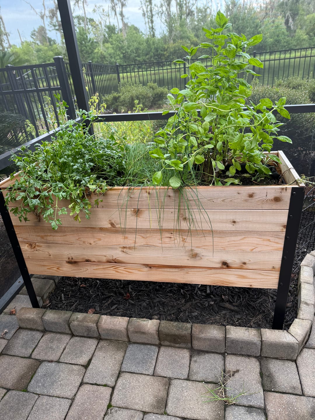 Customer photo review of 18″ x 48″ Deep Root Raised Garden Bed - 30″ TALL - Select Grade