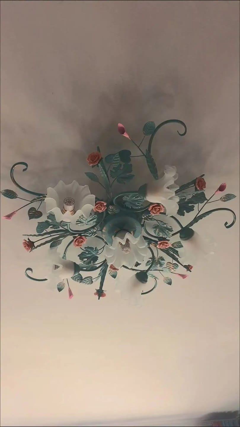 Customer photo review of Glass Rose Ceiling Lamp