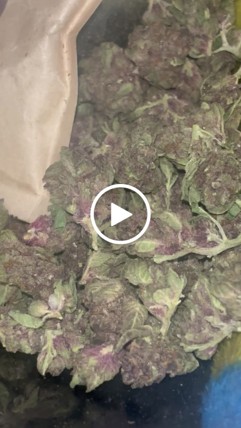 Customer video review of Tropicana Cherry THCA Flower