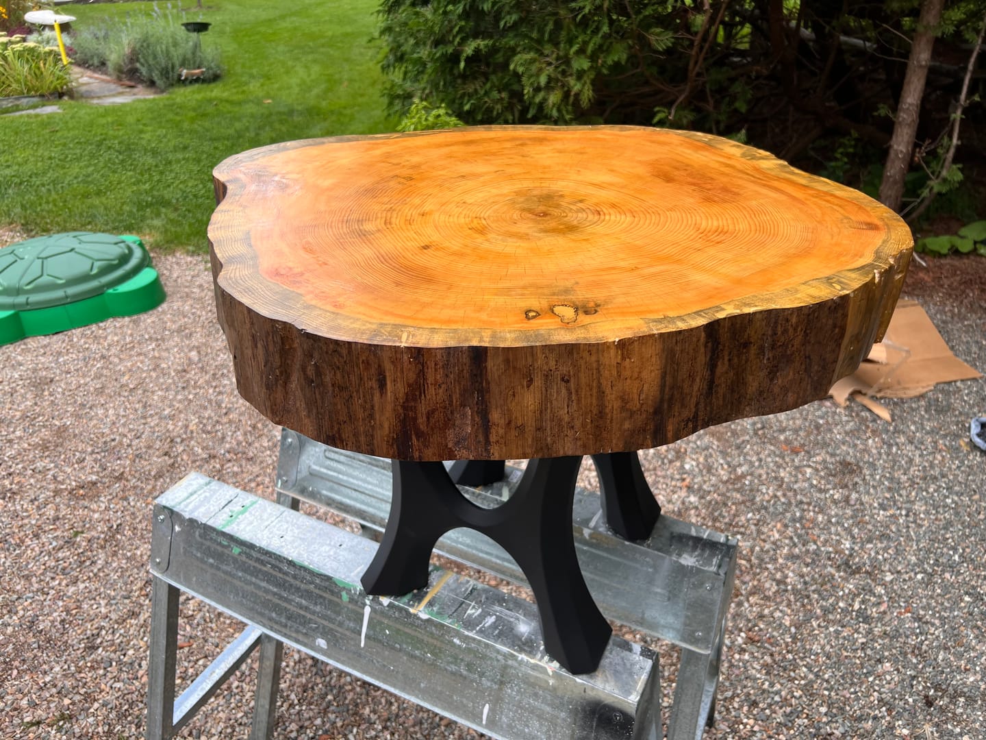 Customer photo review of Bench Legs 103 Haru 16.3" H for Dining Live Edge Tabletop