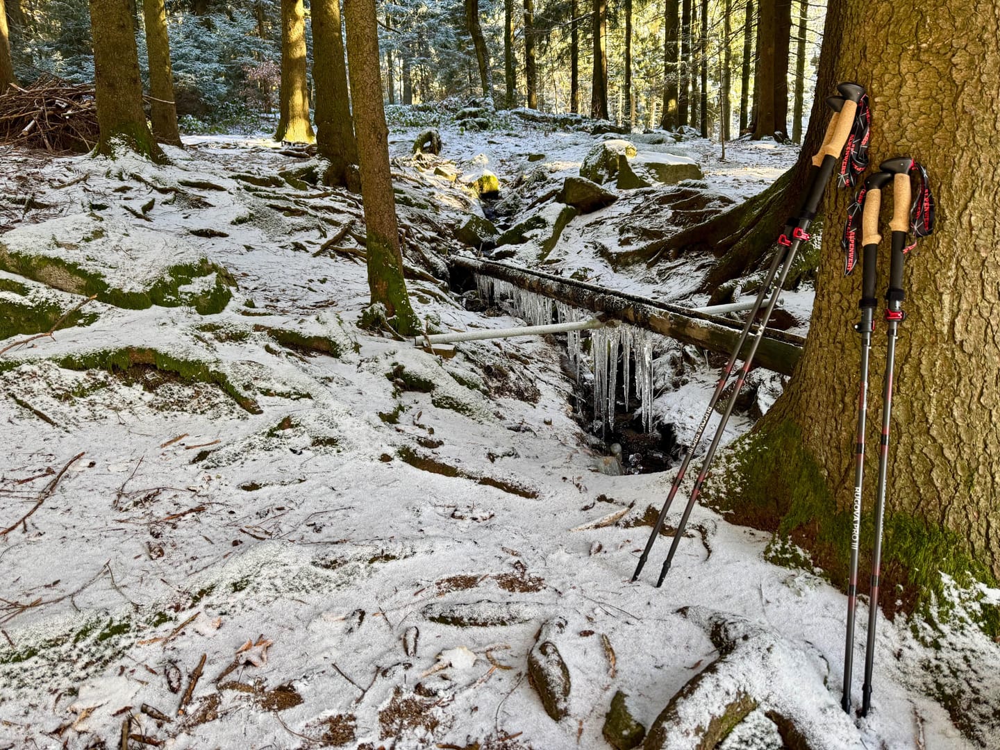 Customer photo review of Wanderstöcke Rugova Pro 3 faltbar & höhenverstellbar – Leicht & stabil