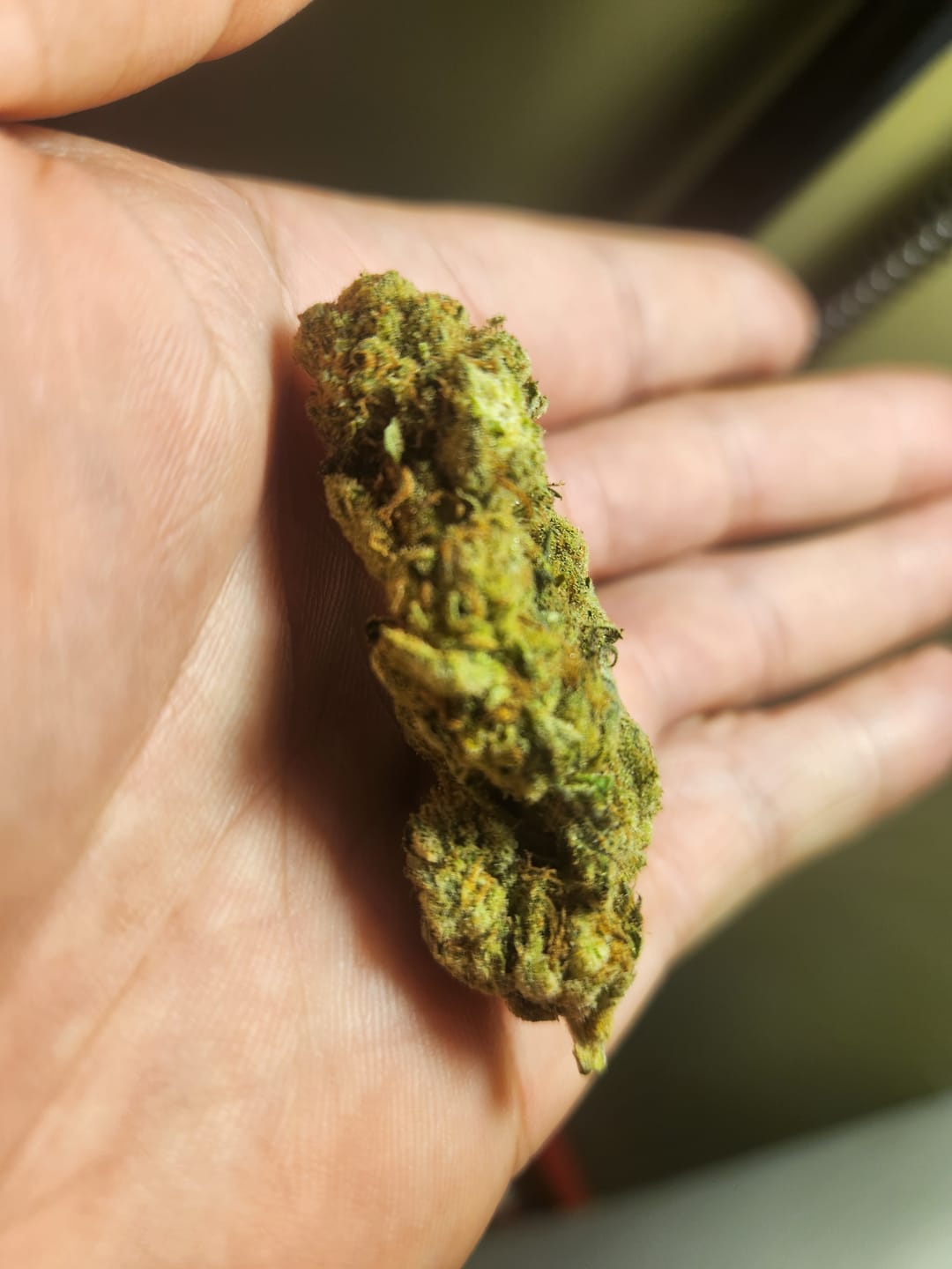 Customer photo review of Alien OG - Bulk - Indica