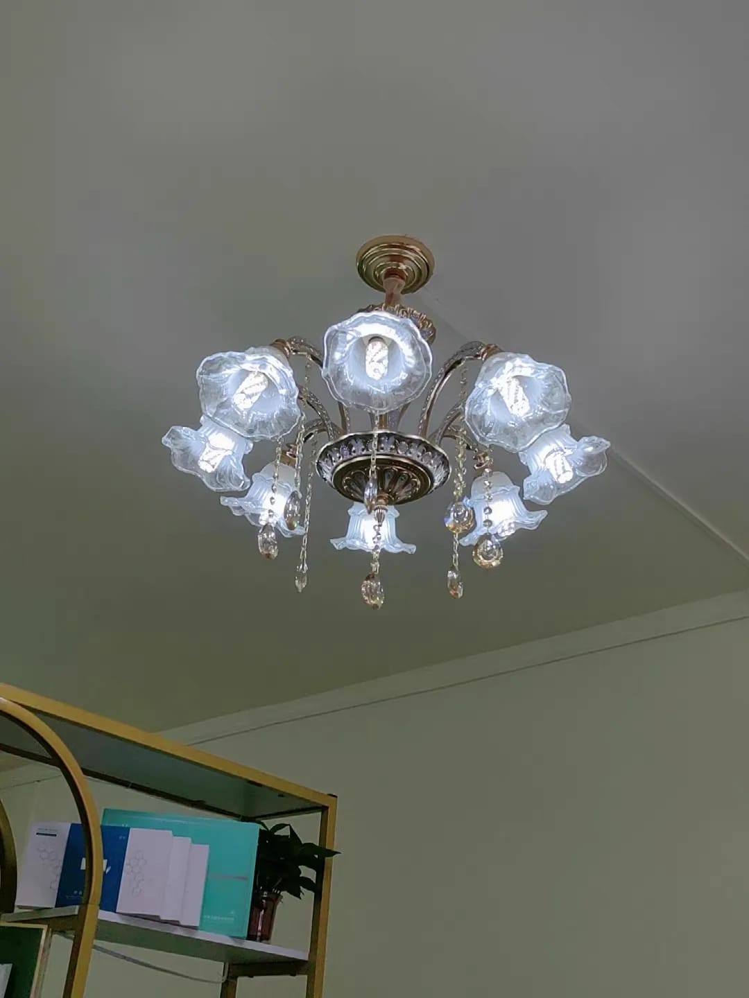 Customer photo review of Nordic Ceiling Chandelier Lighting Lustre