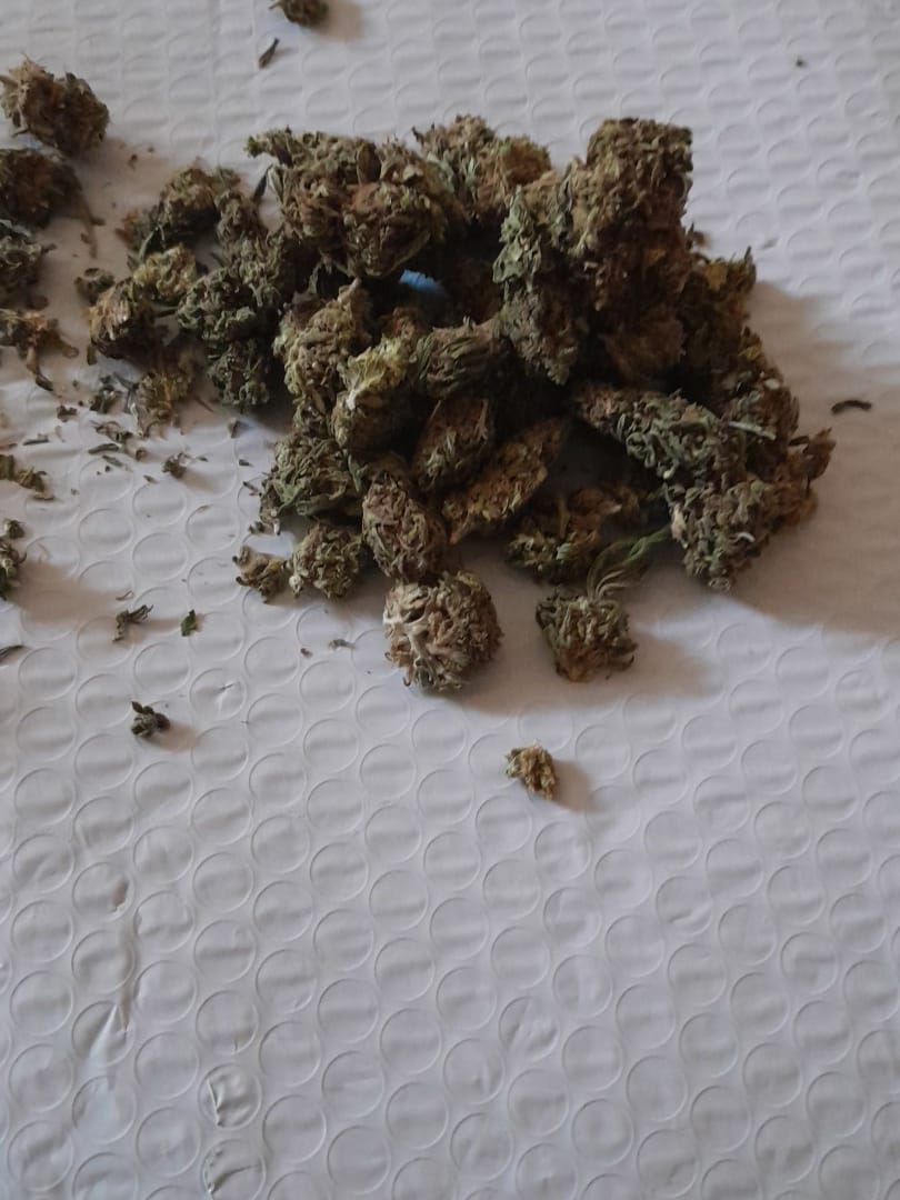 Customer photo review of Maui Wowie - 28 Grams - Sativa