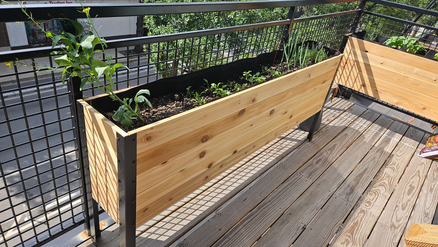 Customer photo review of 11.5″ x 72″ Deep Root Raised Garden Bed - 30″ TALL / Garden Grade