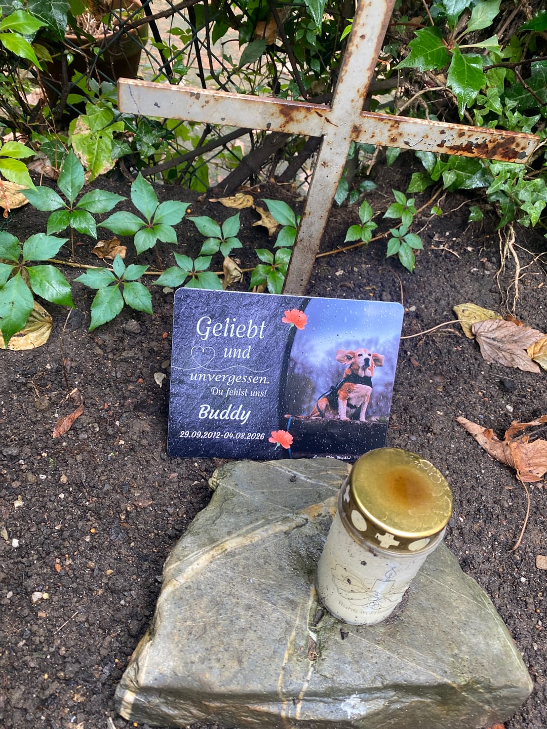 Customer photo review of Hunde Gedenktafel mit Foto & Spruch (UV- & Wetterfest)