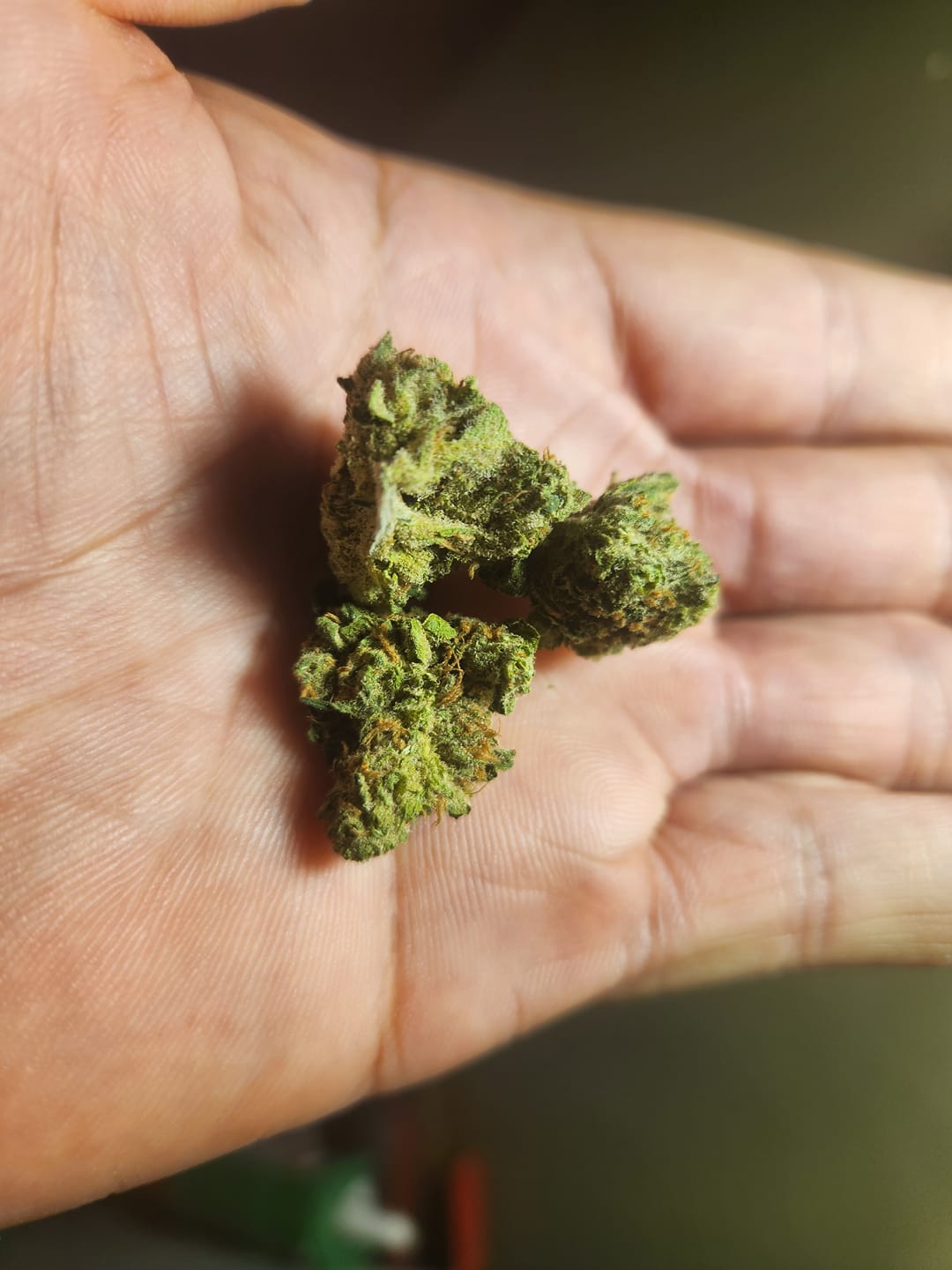 Customer photo review of Blue Dream - 14 Grams - Sativa