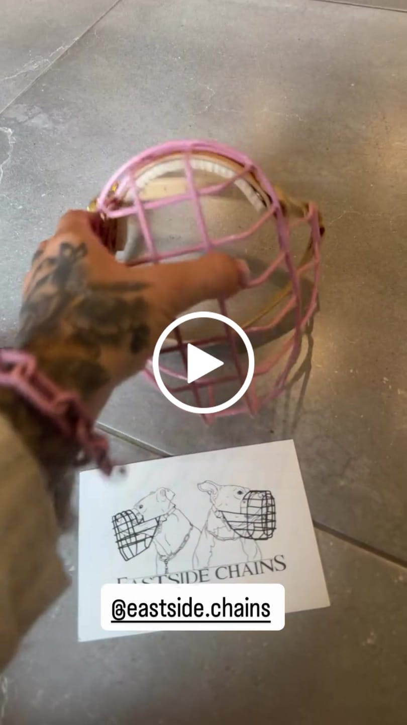 Customer video review of „All in one“ Maulkorb