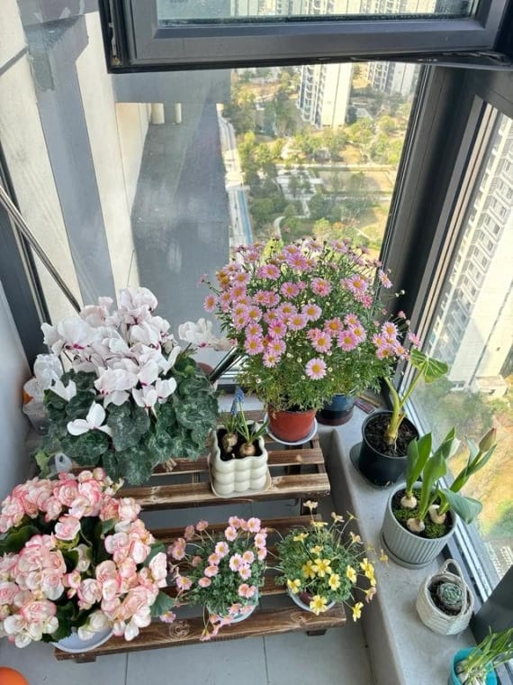 Customer photo review of ✨Labor Day Pre-Sale 45% OFF🌱Eco-Friendly Plantable ”Timeless“ Seed Calendar 2027