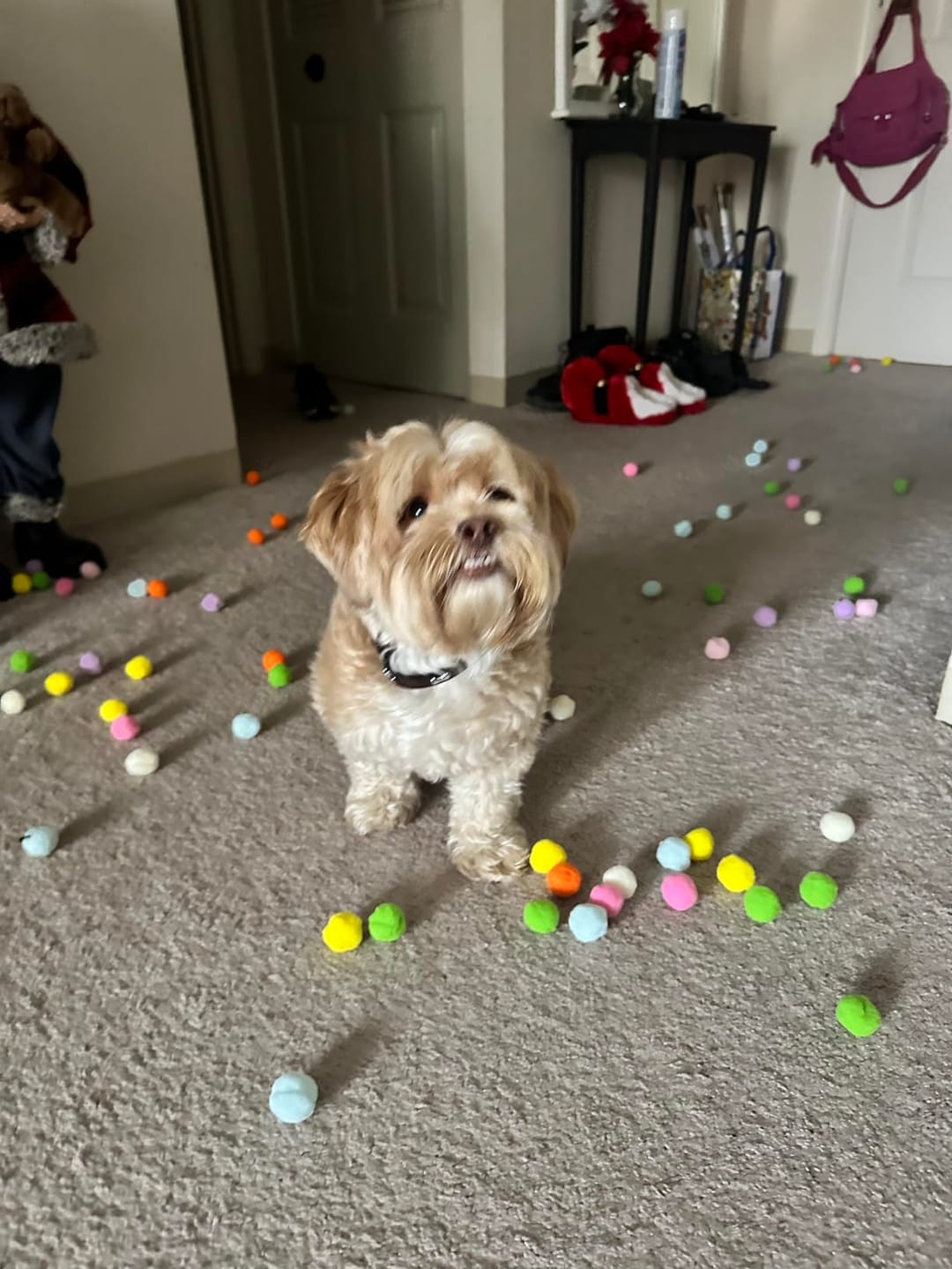 Customer photo review of Calming Puff Launcher (100 x soft fuzzy puff balls)