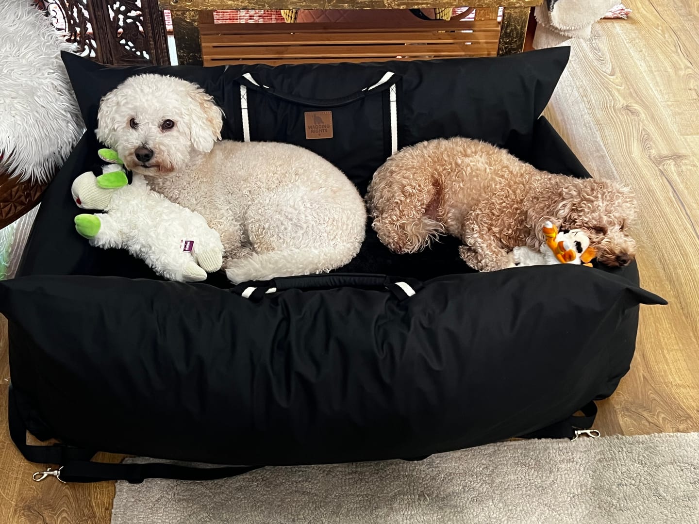Customer photo review of Dog Dock V2 New & Improved LATCH / ISO FIX