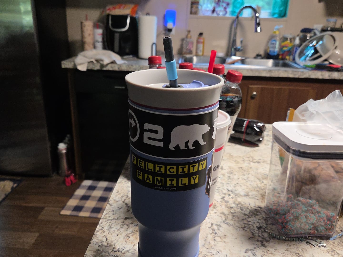 Customer photo review of Right 2 Bear Arms Decal