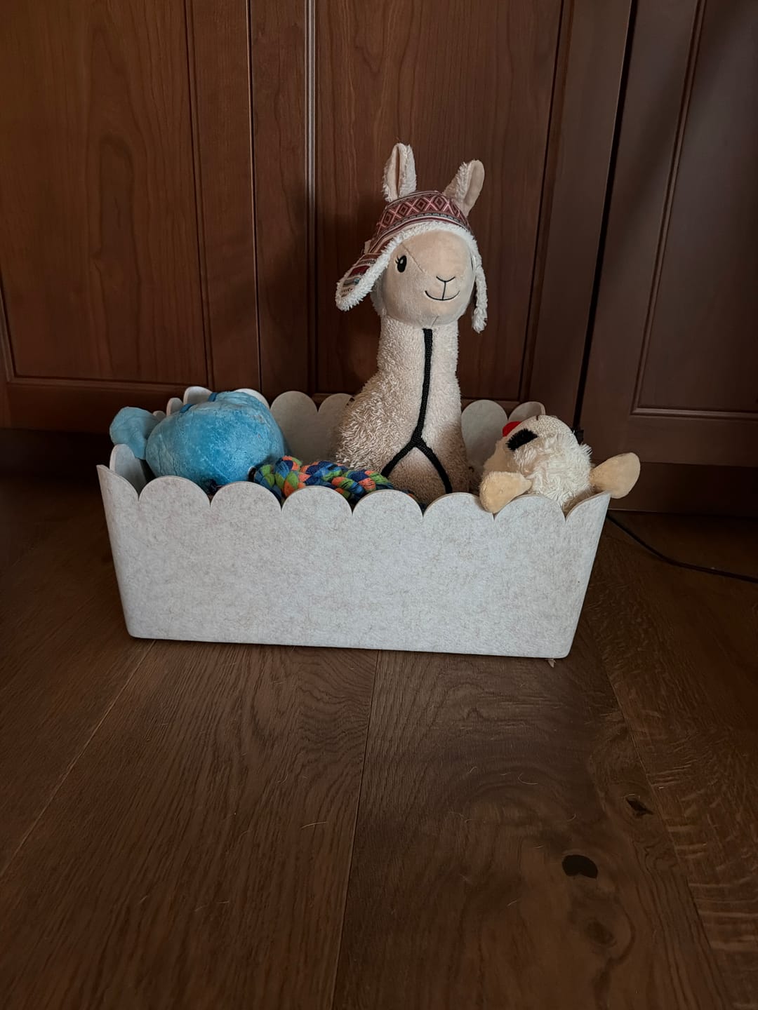 Customer photo review of The Scalloped Bin - XL