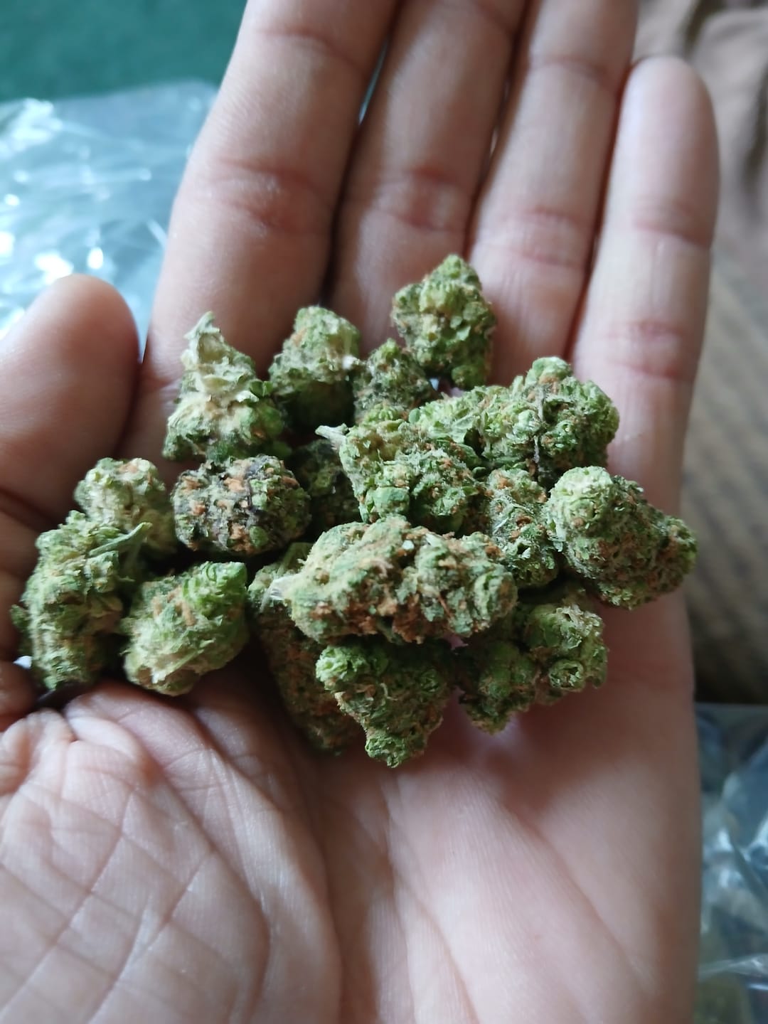 Customer photo review of Do Si Dos x Lava Cake Mediums - Bulk Mediums - Indica